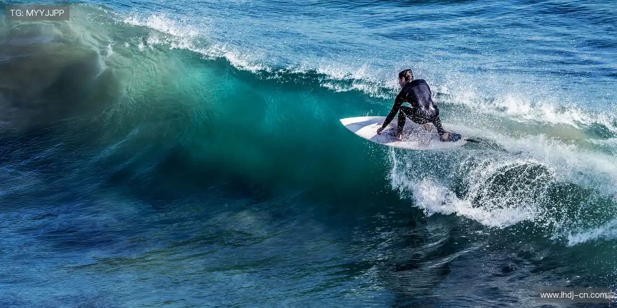 🎯 独家授权谈判，确保客户权益最大化！